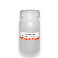 生物素标记STAT3凝胶迁移探针(0.2μM)现货价格