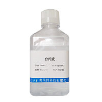 N端mCherry标签融合蛋白质粒(红色荧光蛋白)北京厂家