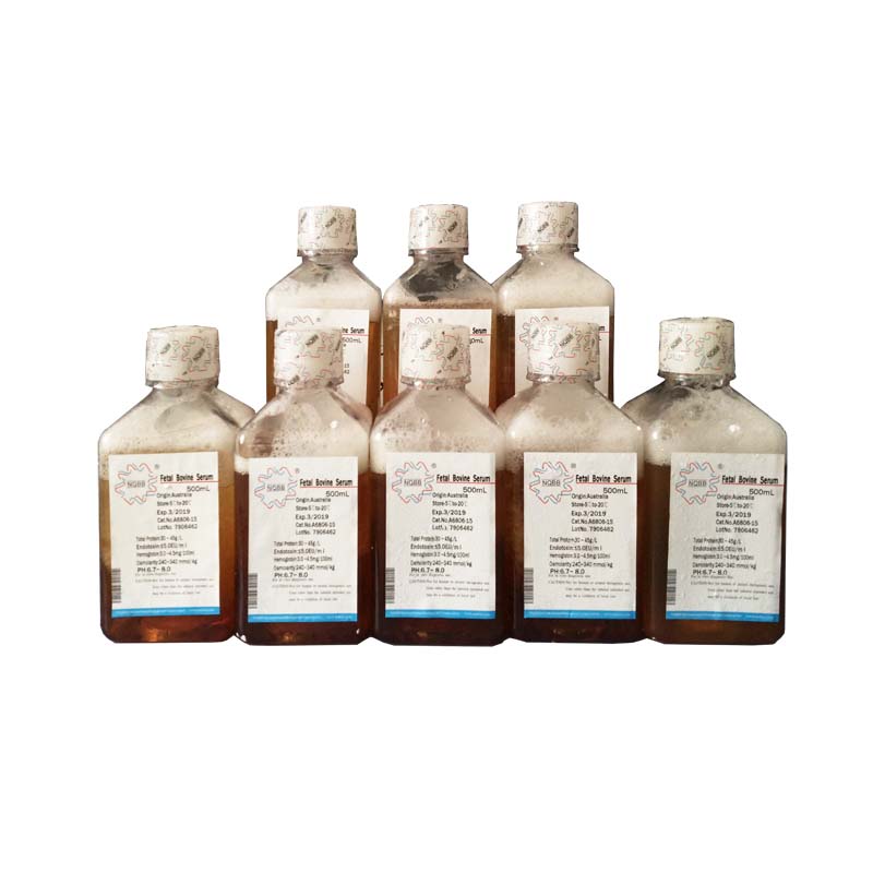 羊抗大鼠免疫血清 血液制品