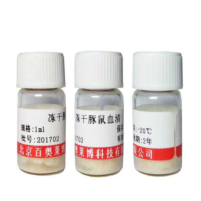 兔抗羊IgG(抗血清)供应