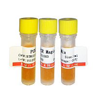 北京现货2×ligation solution MasterMix供应