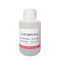 生物素标记YY1凝胶迁移探针(0.2μM)价格