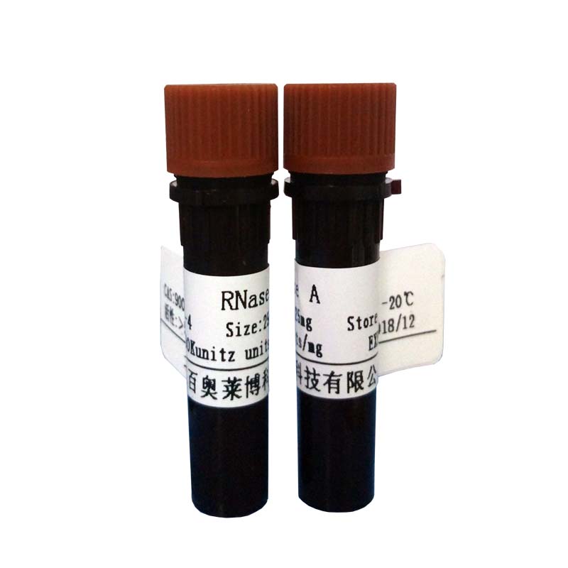 北京现货Pfu DNA聚合酶(Pfu酶)(含buffer)打折促销