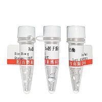 膦酰二肽溶液库存