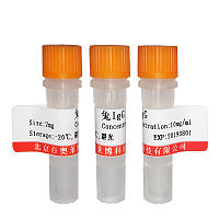 北京现货兔抗辣根过氧化物酶抗体哪里卖