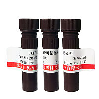 Oligo(dT)再生溶液优惠