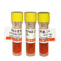 m7G(5´)ppp(5´)G帽结构类似物哪里买