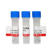 辣根过氧化物酶,偶联级品牌