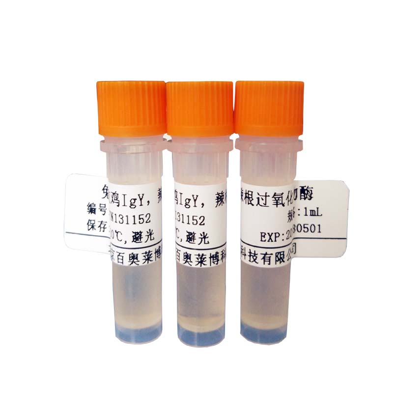 F030206型山羊抗小鼠IgG2a抗体(HRP标记)(国产,进口)