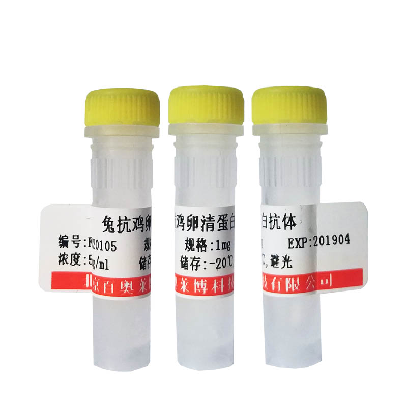 兔抗人IgM抗体(HRP标记)打折促销产品图