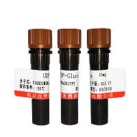 XH035型2×Taq Plus PCR MasterMix (含染料)促销