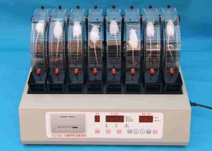 小鼠转轮式疲劳仪，小鼠疲劳仪，小鼠强迫转轮