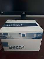 ELISA 试剂盒，同时提供代测服务 