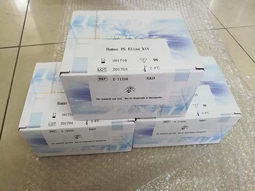 鸭源性核酸检测试剂盒（PCR-荧光探针法）