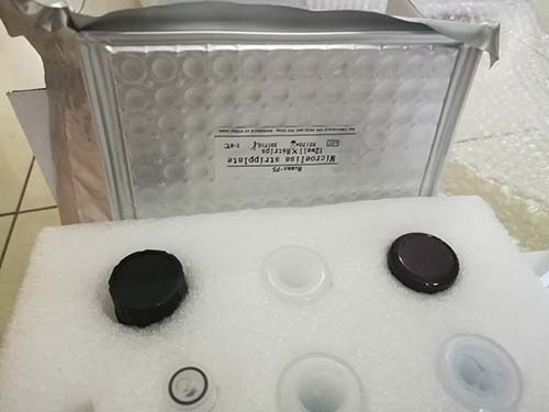 Bt基因核酸检测试剂盒（PCR-荧光探针法SN标准）