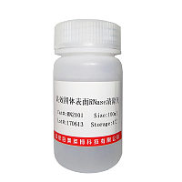 北京彩虹预染蛋白Marker(10-250KD)现货