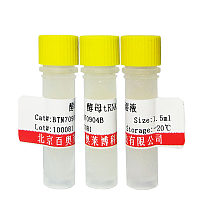 无酶细胞消化液北京价格