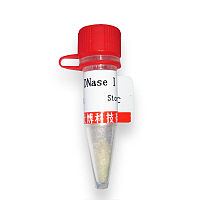 北京GRE-GFP报告基因质粒现货供应