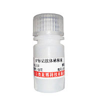 E2F-Luc荧光素酶报告基因质粒厂家现货