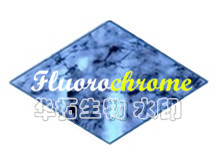 红色荧光金Fluoro-Ruby（Fluorochrome）