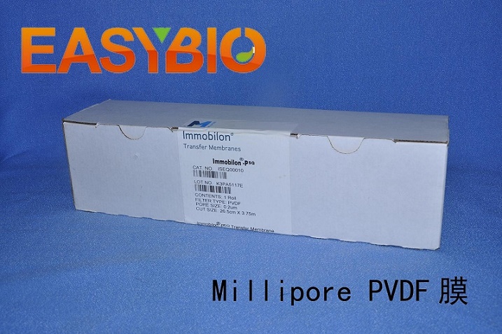 Millipore PVDF膜 0.2u ISEQ00010