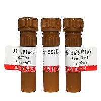 HRP标记小鼠抗V5-Tag单克隆抗体特价优惠