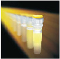 KAPA 2G FAST DNA聚合酶及Ready Mix