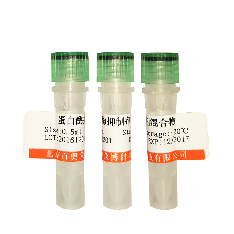 北京现货Sox2 萤火虫荧光素酶报告基因质粒优惠