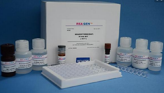 CACNa1D试剂盒