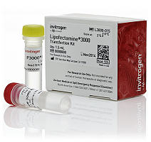 肿瘤标志物检测试剂盒,人(CA724）ELISAKit进口