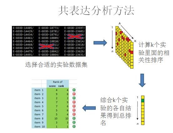 lncRNA功能预测