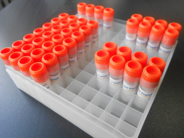 抗原多肽，荧光标记肽，药用肽，点击化学用多肽，常规修饰肽