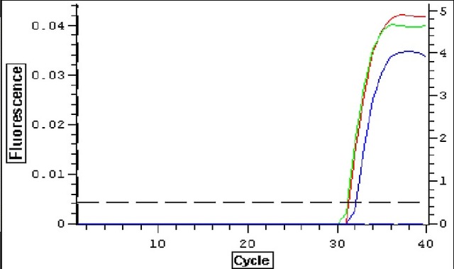柱式病毒DNAout（70701）