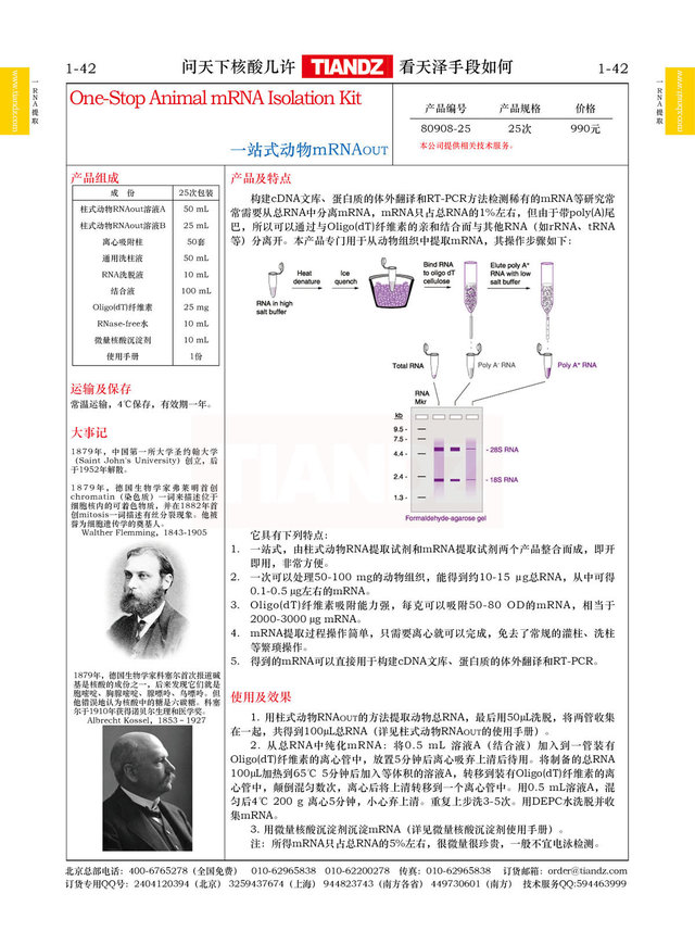 一站式动物mRNAout