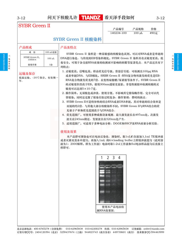 SYBR Green Ⅱ核酸染料