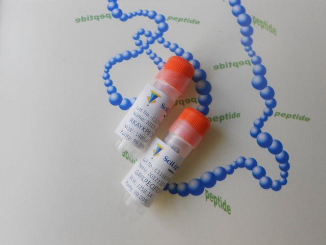 抗原多肽，荧光标记肽，药用肽，点击化学用多肽，常规修饰肽