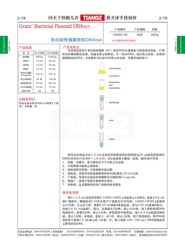 革氏阳性细菌质粒DNAout