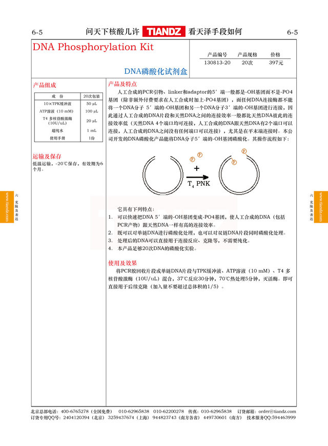 DNA磷酸化试剂盒
