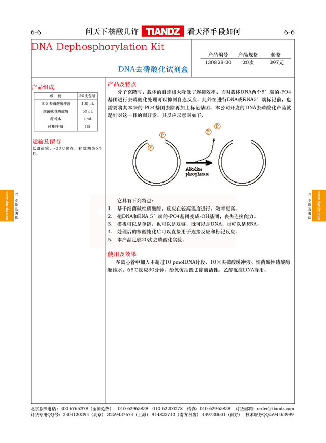 DNA去磷酸化试剂盒
