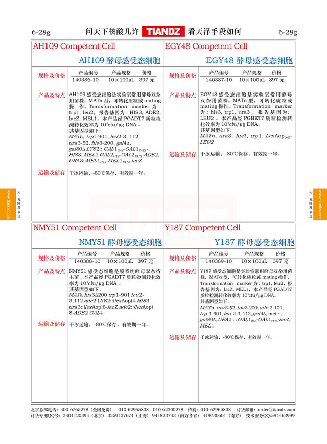 酿酒酵母NMY51感受态细胞