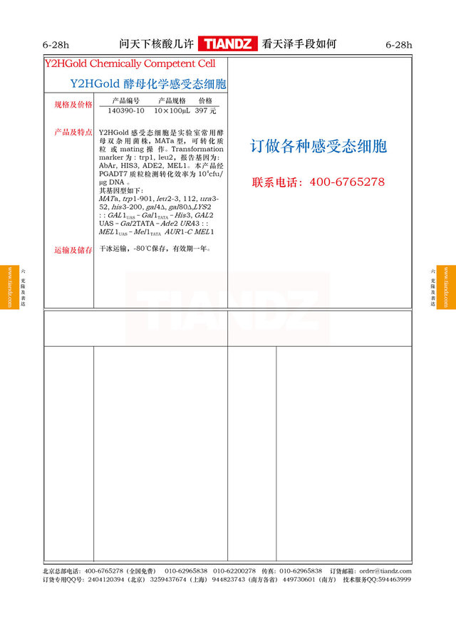 酿酒酵母Y2HGold化学感受态细胞
