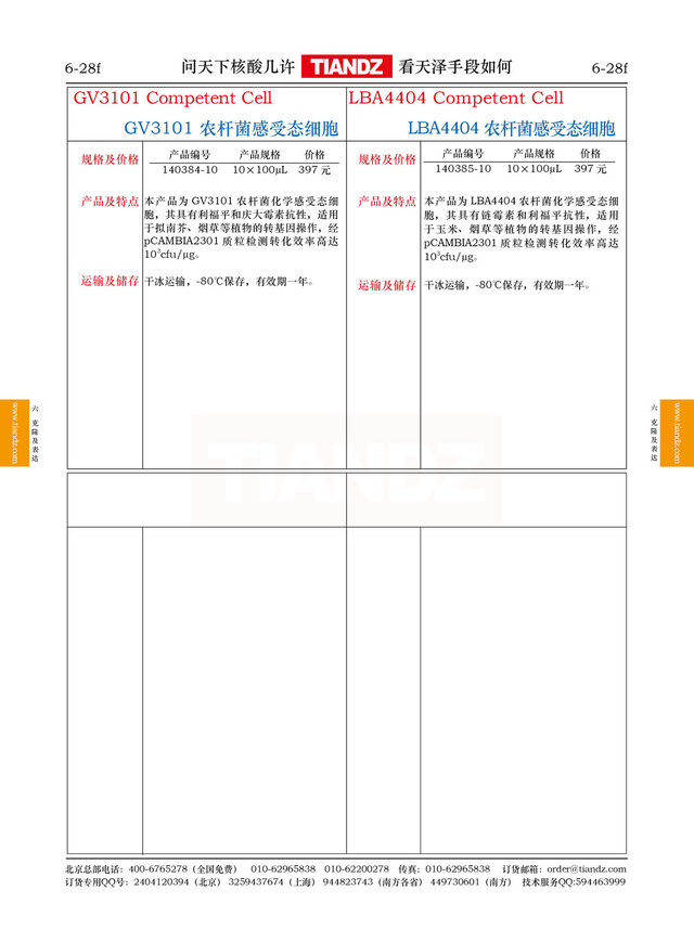 农杆菌LBA4404感受态细胞