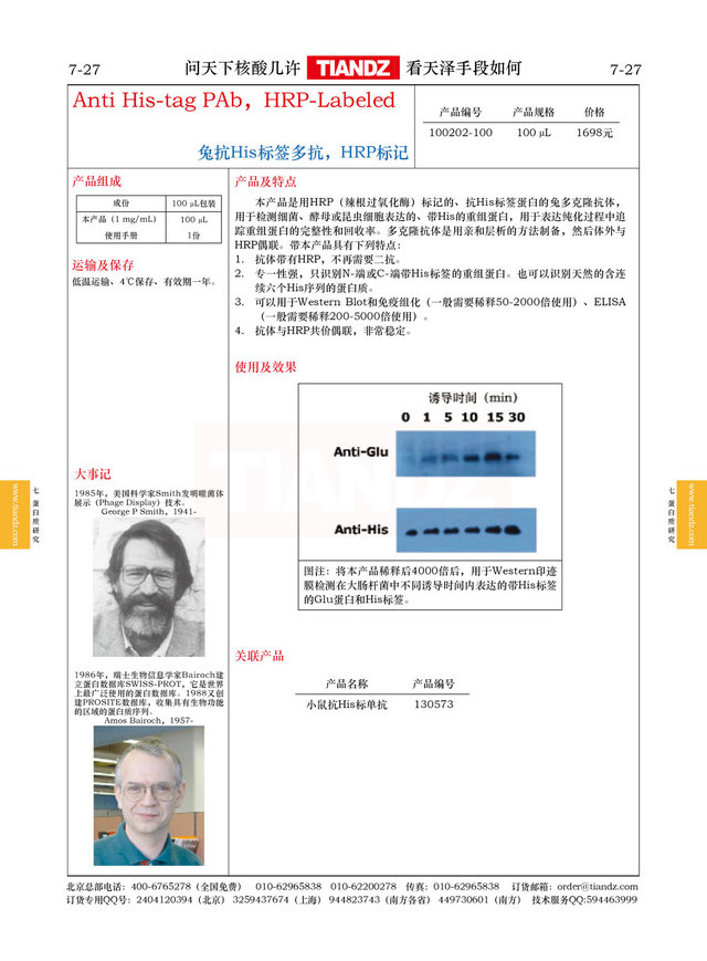 HRP标记的抗His标签兔多克隆抗体