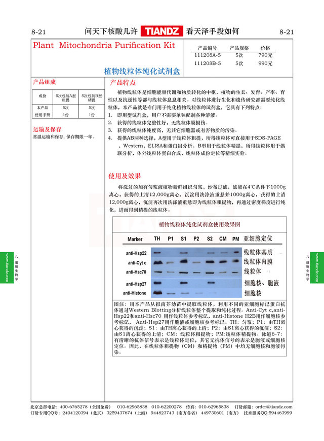 植物线粒体纯化试剂盒A（粗提）