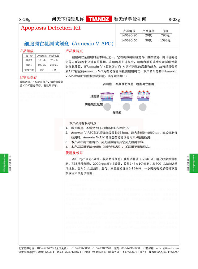 细胞凋亡检测试剂盒（Annexin V-APC）