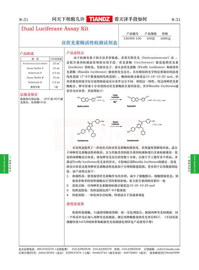 双荧光素酶活性检测试剂盒