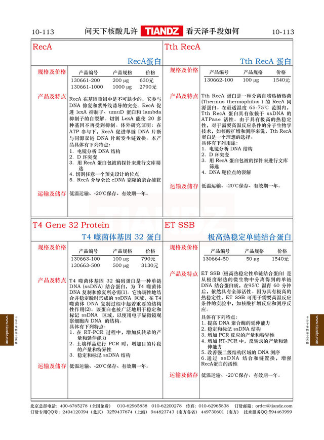 极高热稳定单链结合蛋白