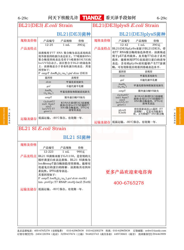 大肠杆菌BL21(DE3)菌种