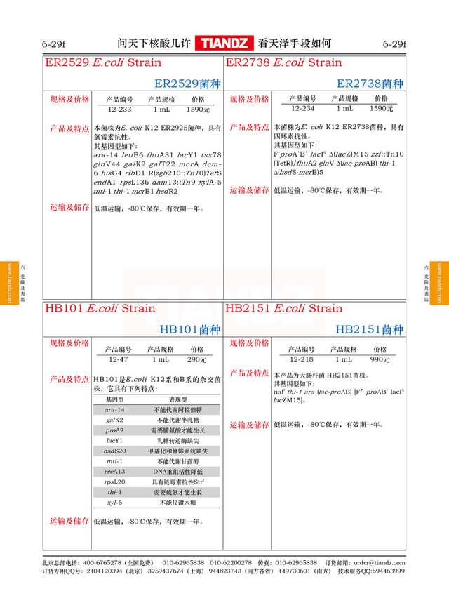 大肠杆菌ER2738菌种
