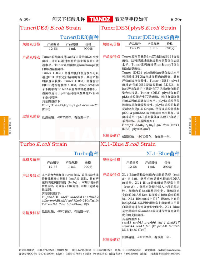 大肠杆菌XL1 B1ue菌种